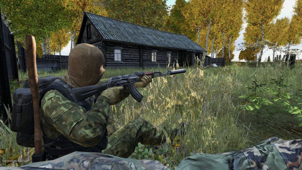 DayZ