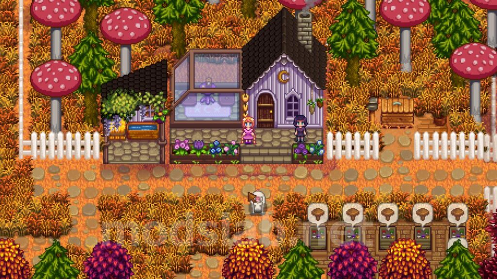 Stardew Valley