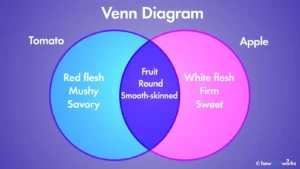 Venn diagram games online free